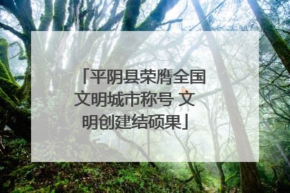 平阴县荣膺全国文明城市称号 文明创建结硕果