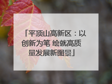 平顶山高新区：以创新为笔 绘就高质量发展新图景