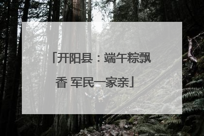 开阳县：端午粽飘香 军民一家亲