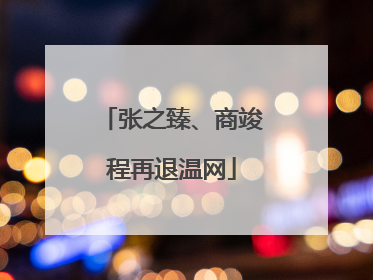 张之臻、商竣程再退温网