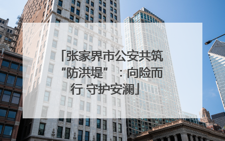 张家界市公安共筑“防洪堤”：向险而行 守护安澜