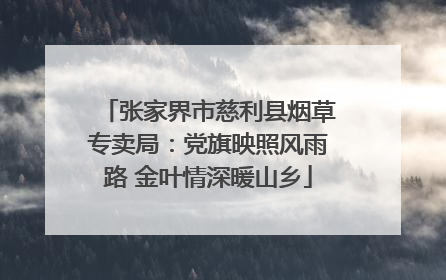 张家界市慈利县烟草专卖局：党旗映照风雨路 金叶情深暖山乡
