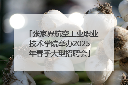 张家界航空工业职业技术学院举办2025年春季大型招聘会