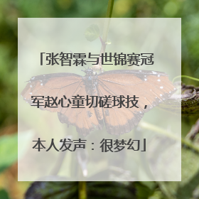 张智霖与世锦赛冠军赵心童切磋球技，本人发声：很梦幻