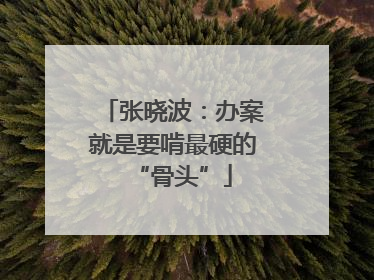 张晓波：办案就是要啃最硬的“骨头”