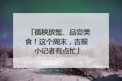 插秧放蟹、品尝美食！这个周末，吉报小记者有点忙