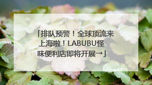 排队预警！全球顶流来上海啦！LABUBU怪味便利店即将开展→