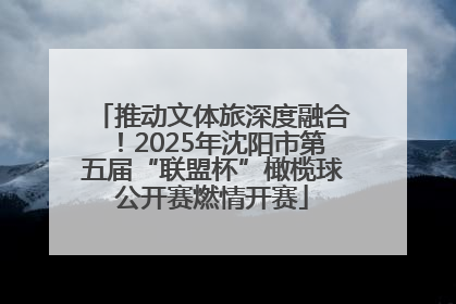 推动文体旅深度融合！2025年沈阳市第五届“联盟杯”橄榄球公开赛燃情开赛
