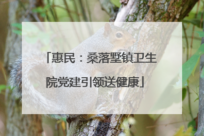惠民：桑落墅镇卫生院党建引领送健康
