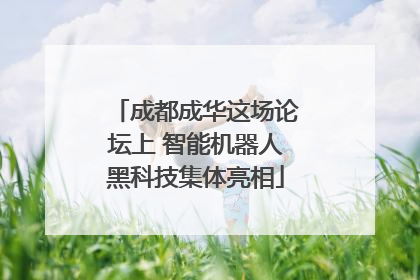 成都成华这场论坛上 智能机器人黑科技集体亮相