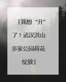 我想“开”了！武汉洪山多家公园荷花绽放