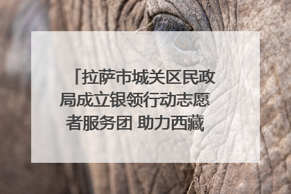 拉萨市城关区民政局成立银领行动志愿者服务团 助力西藏银发经济发展
