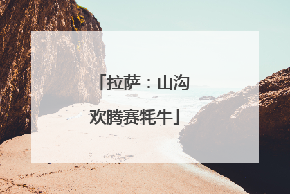 拉萨：山沟欢腾赛牦牛