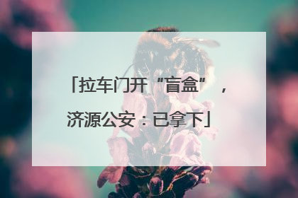 拉车门开“盲盒”，济源公安：已拿下