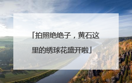 拍照绝绝子，黄石这里的绣球花盛开啦