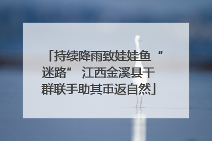 持续降雨致娃娃鱼“迷路” 江西金溪县干群联手助其重返自然