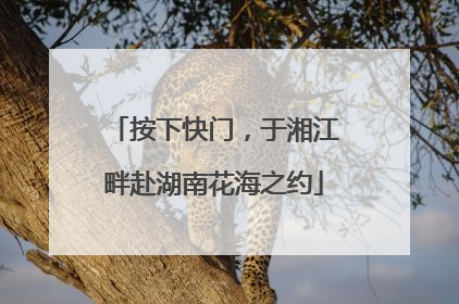 按下快门，于湘江畔赴湖南花海之约