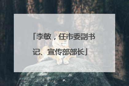 李敏，任市委副书记、宣传部部长