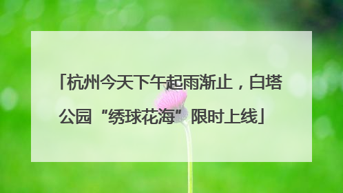 杭州今天下午起雨渐止，白塔公园“绣球花海”限时上线