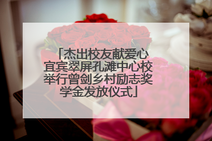 杰出校友献爱心 宜宾翠屏孔滩中心校举行曾剑乡村励志奖学金发放仪式