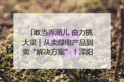 敢当弄潮儿 奋力挑大梁｜从卖绿电产品到卖“解决方案”！溧阳立足产业优势建成五大微电网示范项目