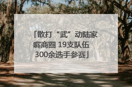 散打“武”动陆家嘴商圈 19支队伍300余选手参赛