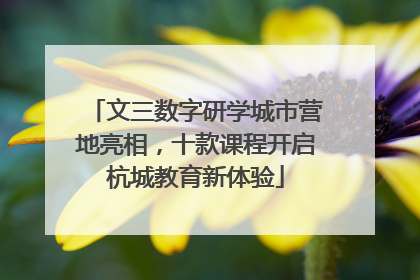文三数字研学城市营地亮相，十款课程开启杭城教育新体验