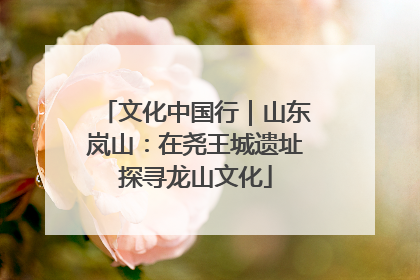 文化中国行｜山东岚山：在尧王城遗址探寻龙山文化