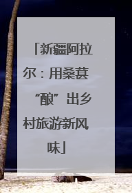 新疆阿拉尔：用桑葚“酿”出乡村旅游新风味