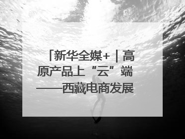 新华全媒+｜高原产品上“云”端——西藏电商发展一线观察