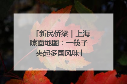 新民侨梁｜上海嗦面地图：一筷子夹起多国风味