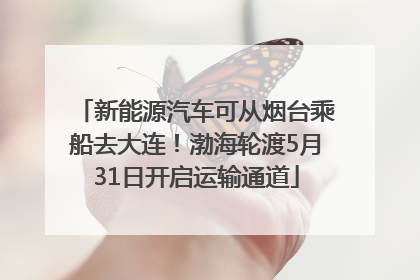 新能源汽车可从烟台乘船去大连！渤海轮渡5月31日开启运输通道