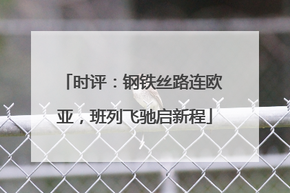 时评：钢铁丝路连欧亚，班列飞驰启新程