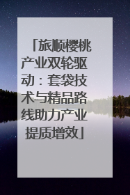 旅顺樱桃产业双轮驱动：套袋技术与精品路线助力产业提质增效