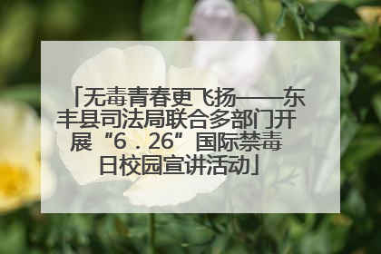 无毒青春更飞扬——东丰县司法局联合多部门开展“6．26”国际禁毒日校园宣讲活动