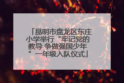 昆明市盘龙区东庄小学举行“牢记党的教导 争做强国少年”一年级入队仪式