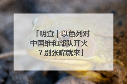 明查｜以色列对中国维和部队开火？别张嘴就来