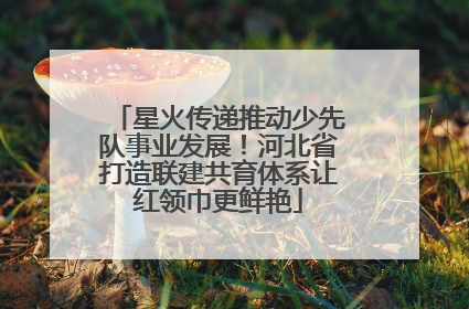 星火传递推动少先队事业发展！河北省打造联建共育体系让红领巾更鲜艳