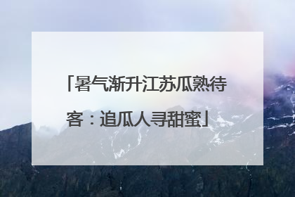 暑气渐升江苏瓜熟待客：追瓜人寻甜蜜