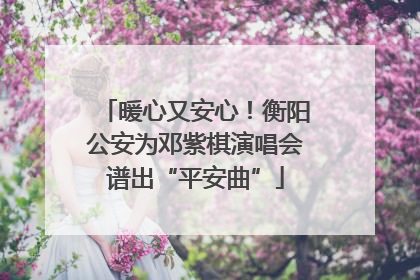 暖心又安心！衡阳公安为邓紫棋演唱会谱出“平安曲”