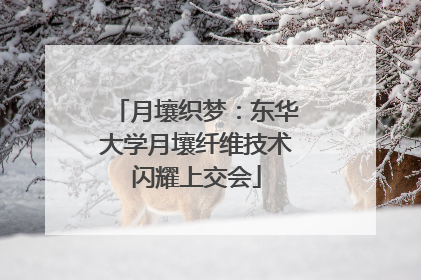 月壤织梦：东华大学月壤纤维技术闪耀上交会
