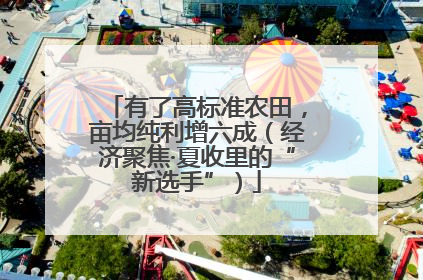 有了高标准农田，亩均纯利增六成（经济聚焦·夏收里的“新选手”）