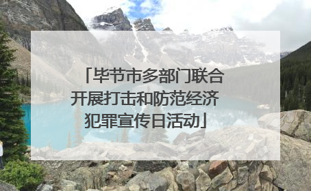 毕节市多部门联合开展打击和防范经济犯罪宣传日活动