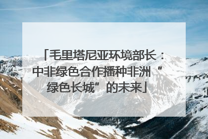 毛里塔尼亚环境部长：中非绿色合作播种非洲“绿色长城”的未来