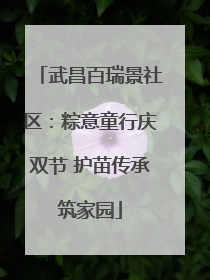 武昌百瑞景社区：粽意童行庆双节 护苗传承筑家园