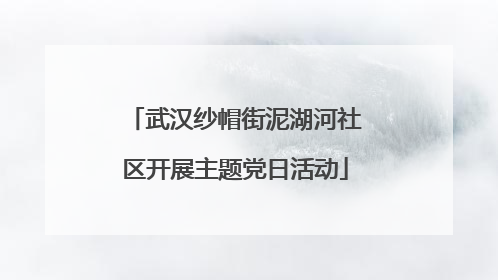 武汉纱帽街泥湖河社区开展主题党日活动