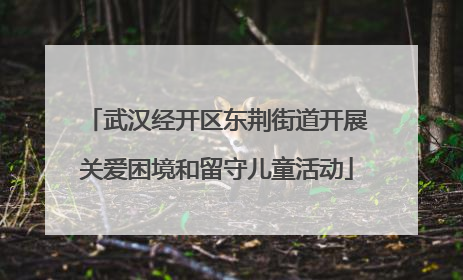 武汉经开区东荆街道开展关爱困境和留守儿童活动
