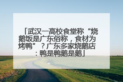 武汉一高校食堂称“烧鹅饭是广东俗称，食材为烤鸭”？广东多家烧鹅店：鸭是鸭鹅是鹅