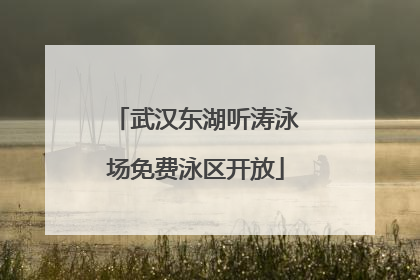 武汉东湖听涛泳场免费泳区开放