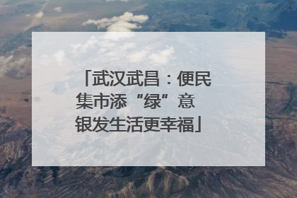 武汉武昌：便民集市添“绿”意 银发生活更幸福